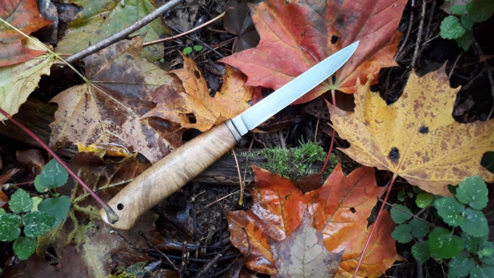 Поликлиническая терапия Давыдкин