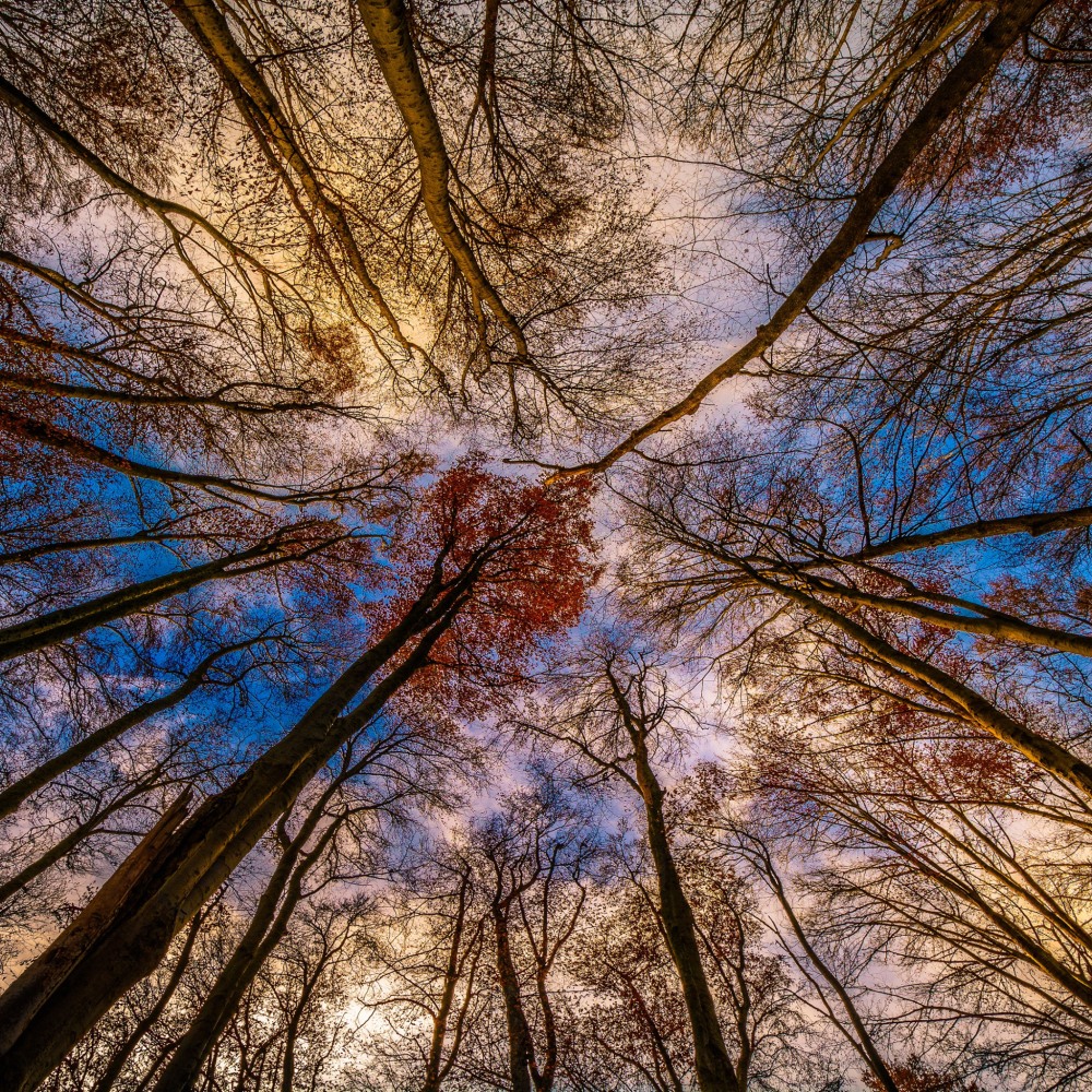 Яой бара гигант хентай