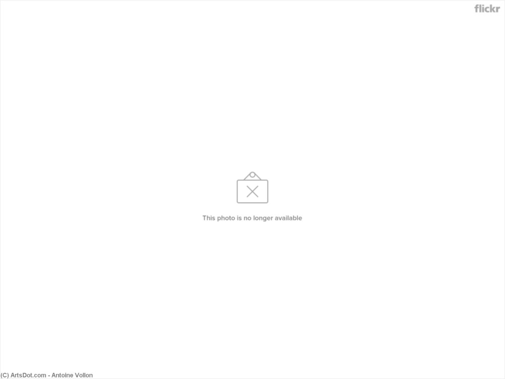 Поисковая строка без фона