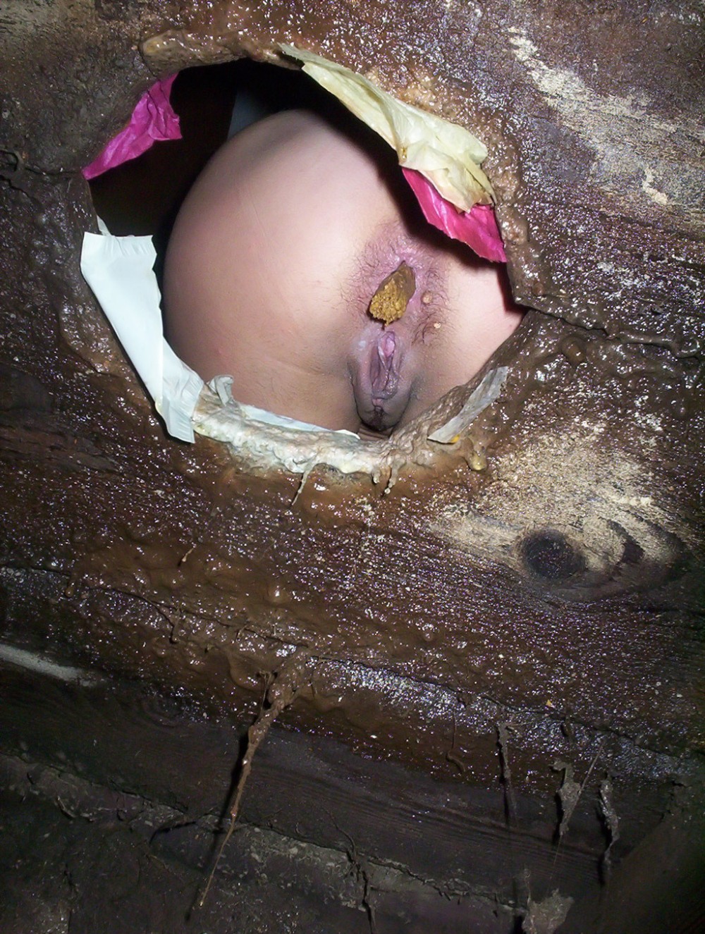 Голые женские попы в туалете