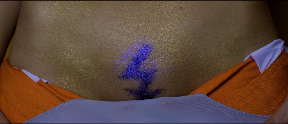 Вероника Пляшкевич голая