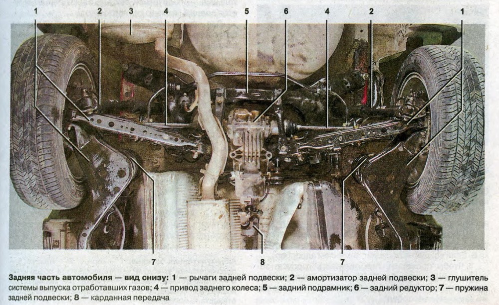 Красивый анал вид снизу