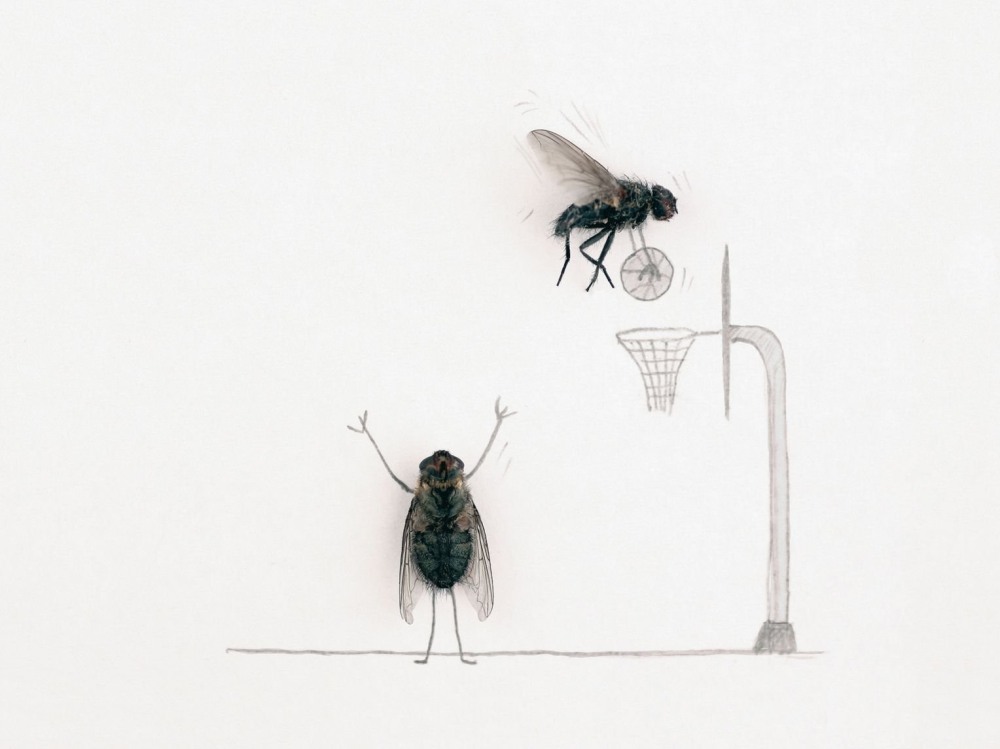 Magnus Muhr и его мухи.