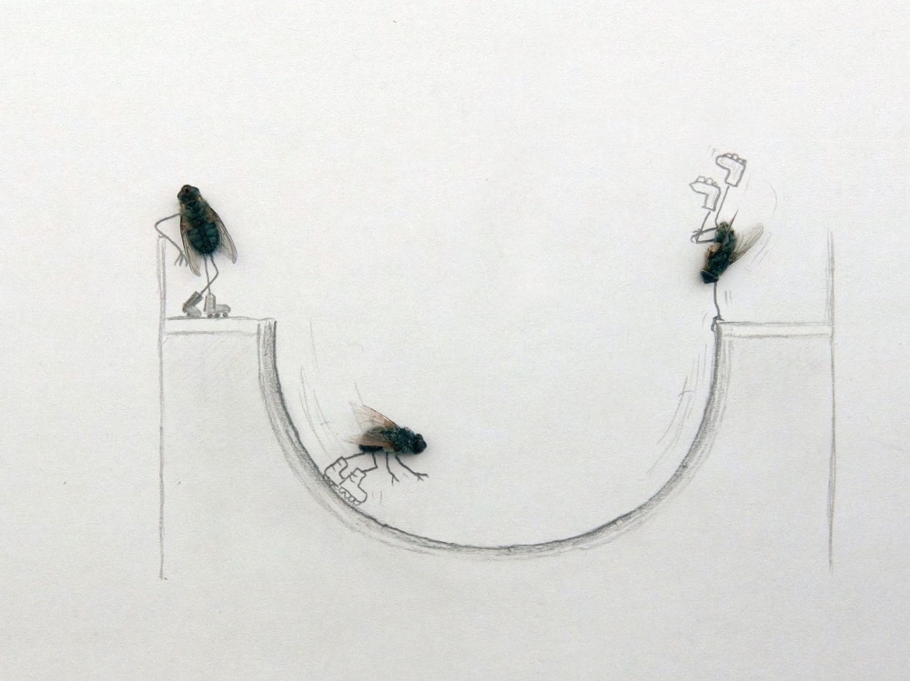 Магнус Мур мухи