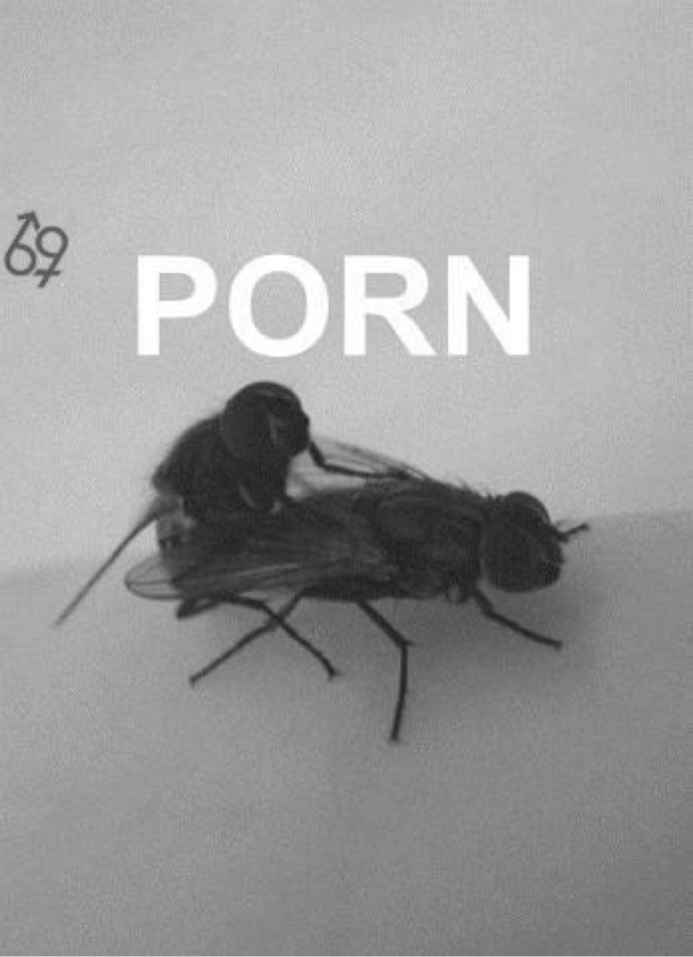 Муха не еблась картинка