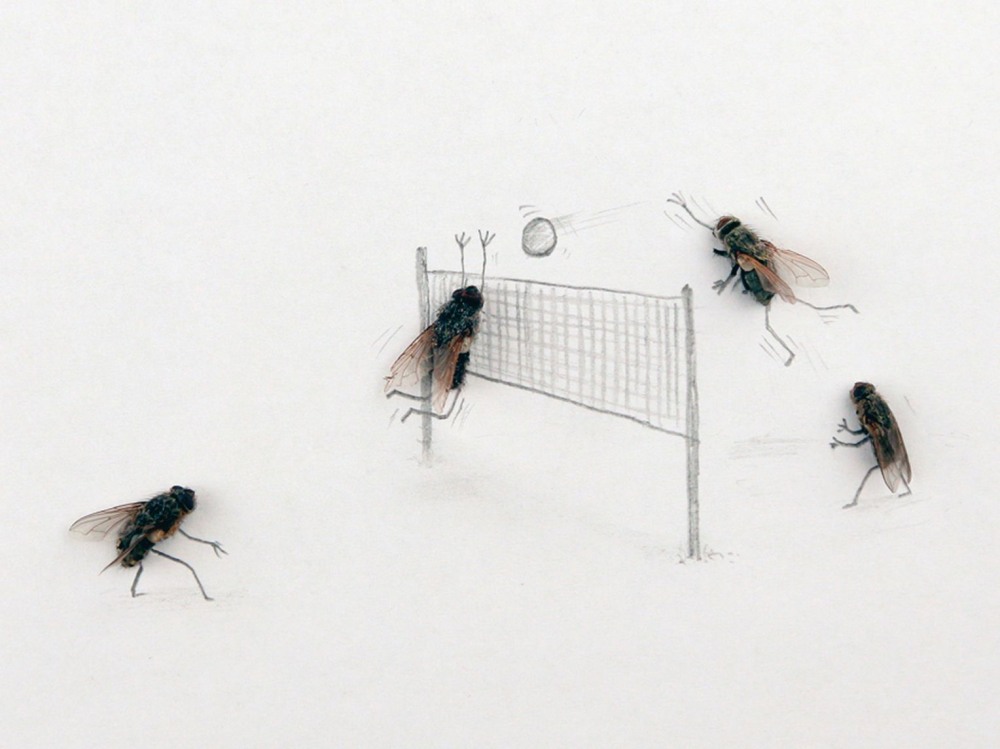 Магнус Мур и его мухи