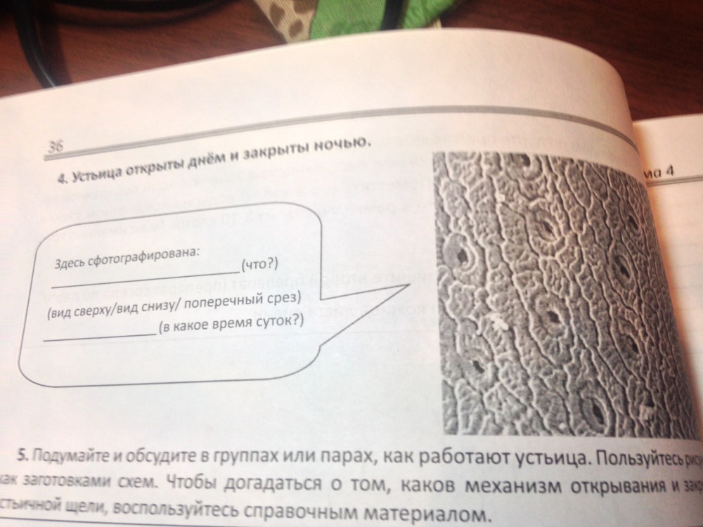 Мужской анал крупным планом