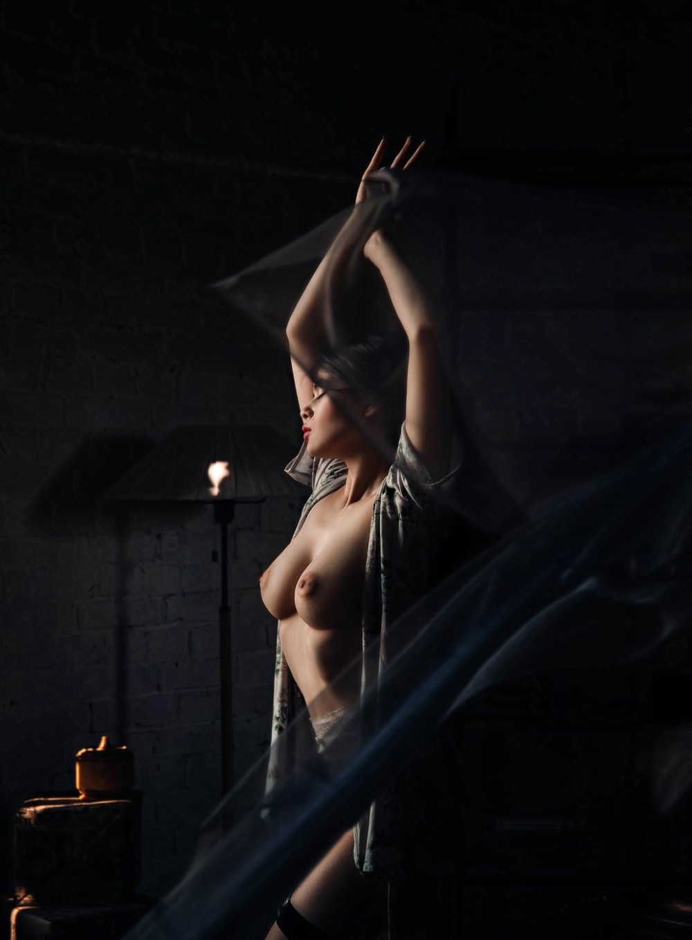 Майя Шахназарова модель nude