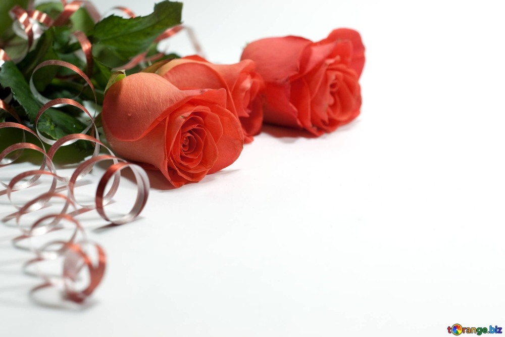 Оля с днём рождения