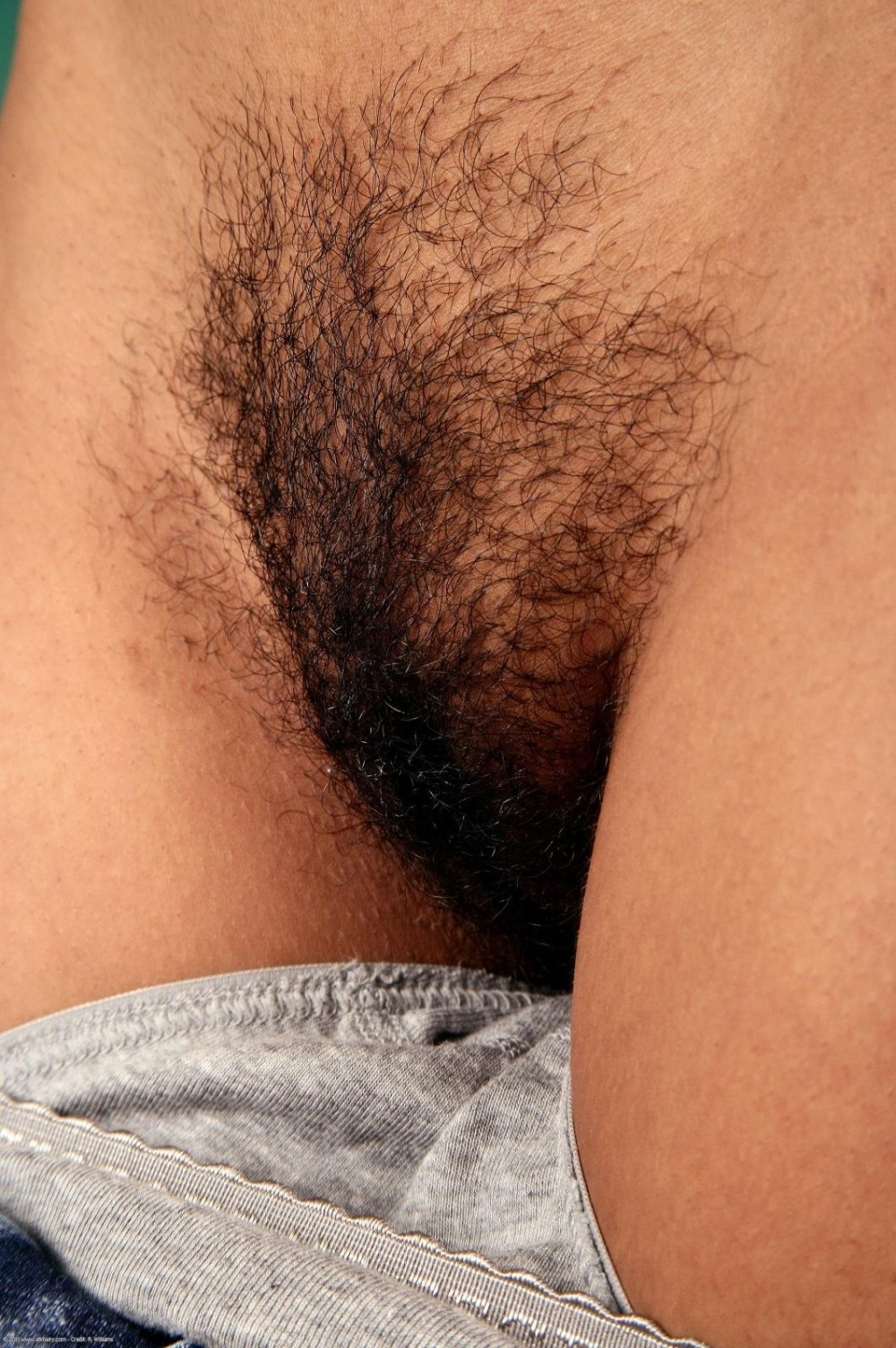 Красивые кучерявые лобки