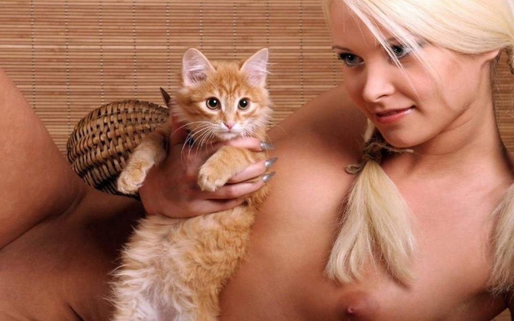 Котенок на сиськах девушки