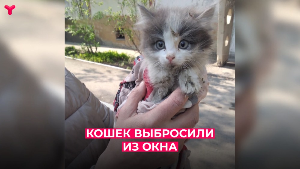 Установка окон в Тюмени