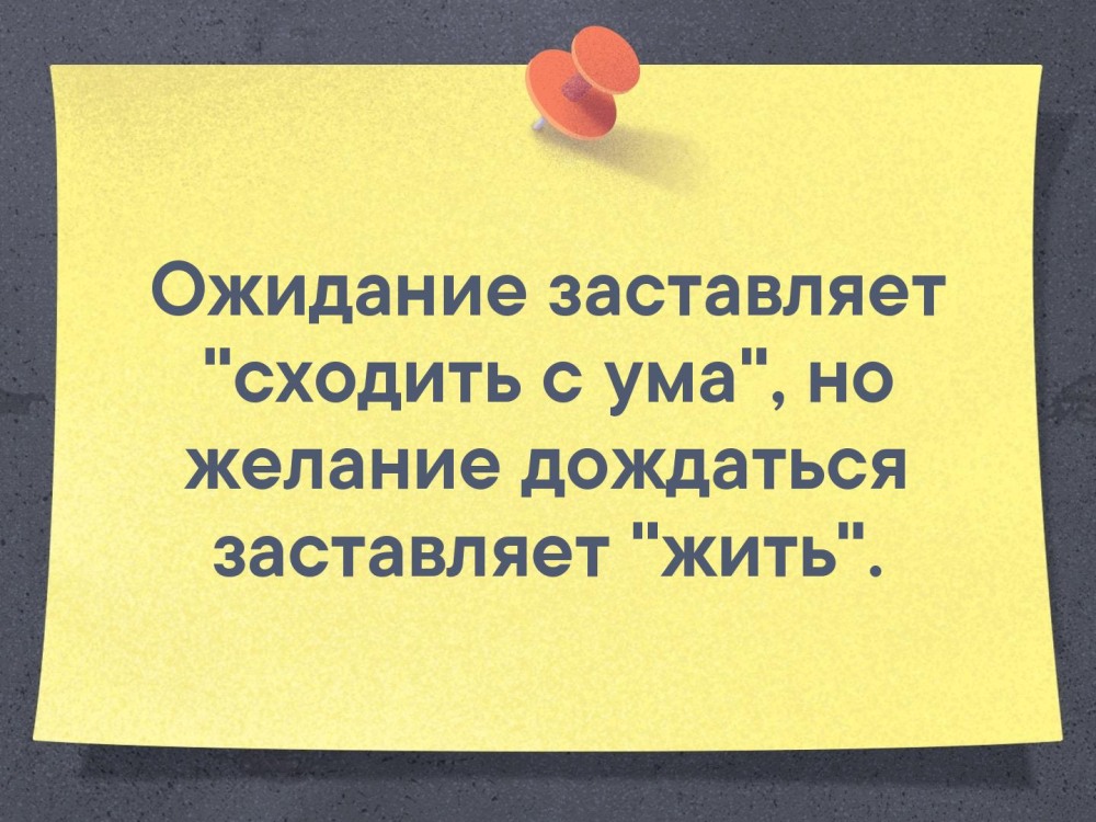 ДМБ Прощай служба