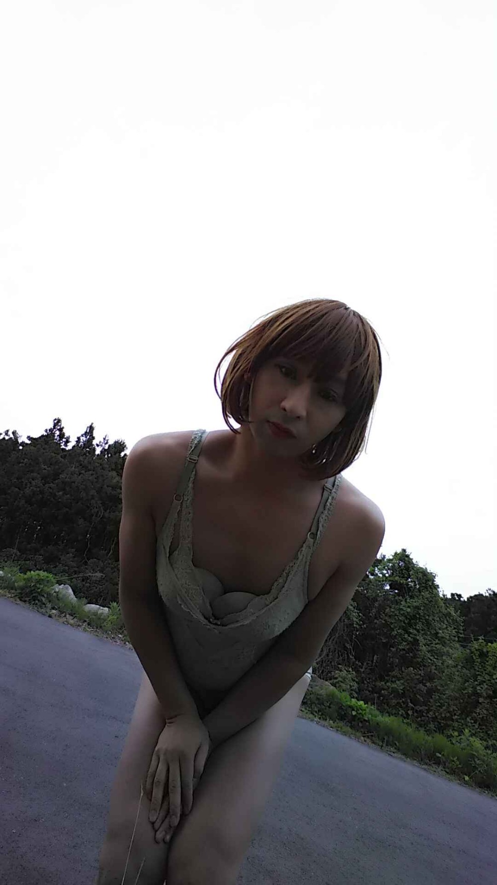 Гришко модель