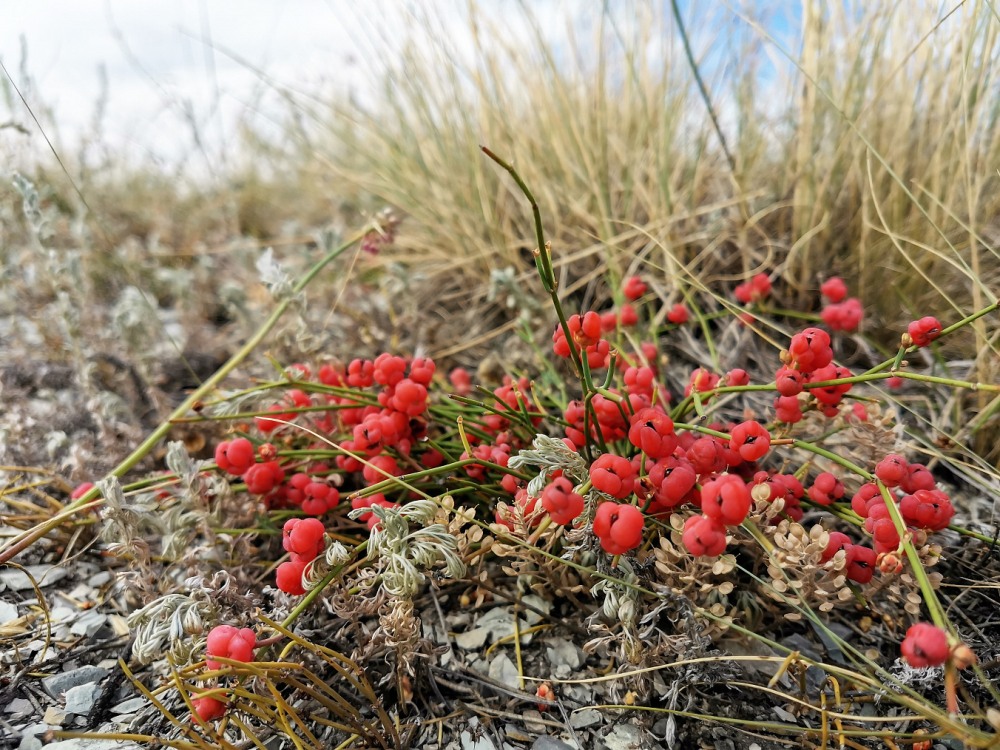 Анна Щербакова фигуристка 2018