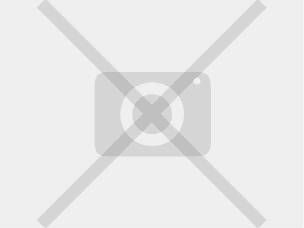 Амортизатор BPW 295x430