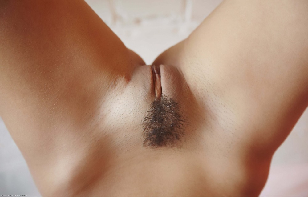 Эротические прически на лобке