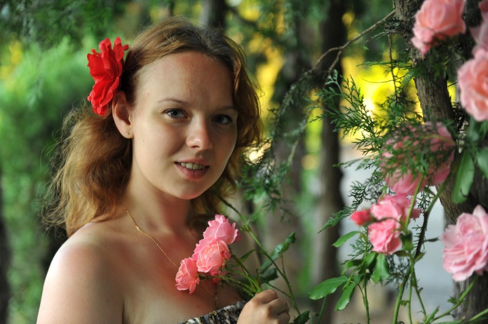 Минималистичные котики