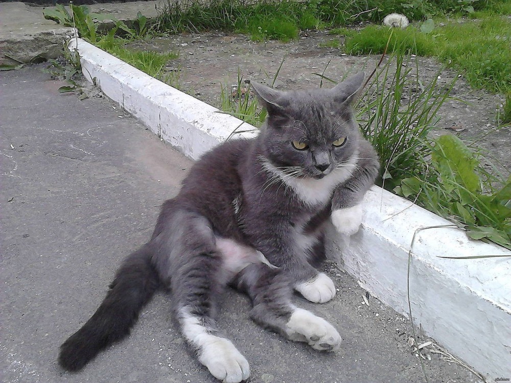 Дрейк в оранжевой куртке