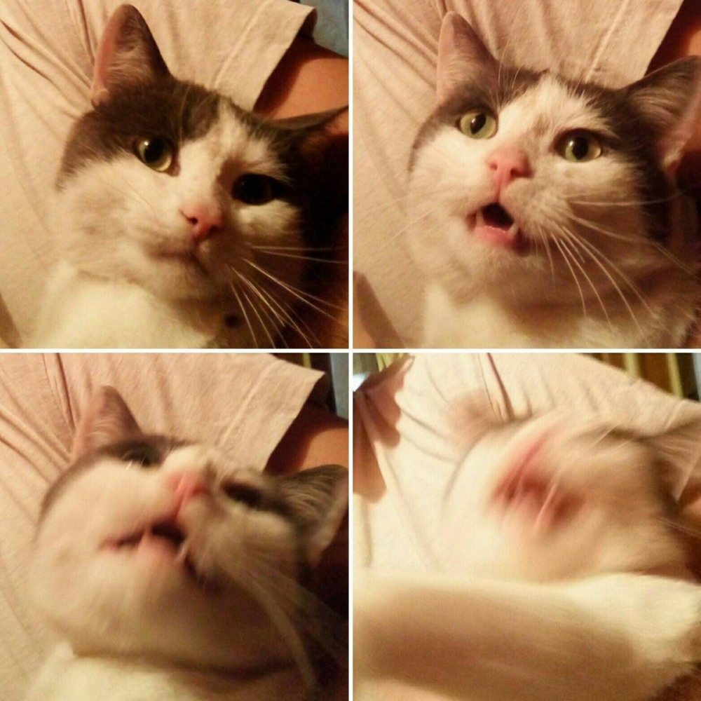 Аниме фотографирует