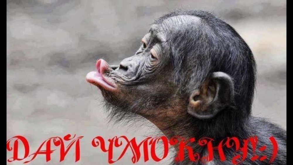 Дженнифер Лопес с оружием
