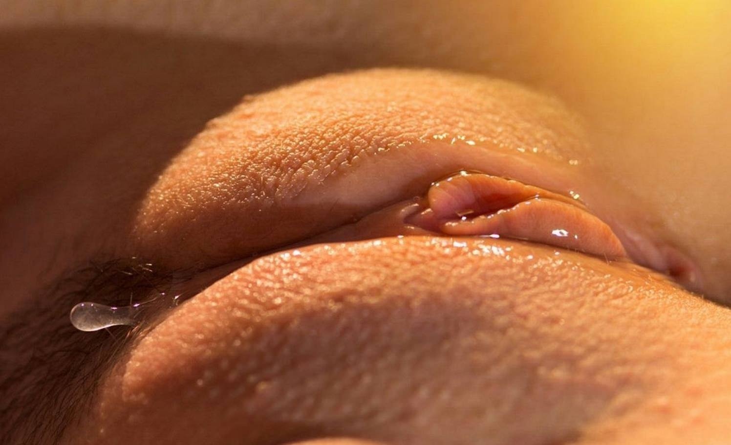 Wet Vagina Photo