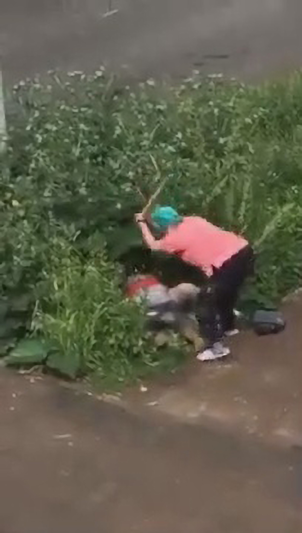 Женщина села в кустах