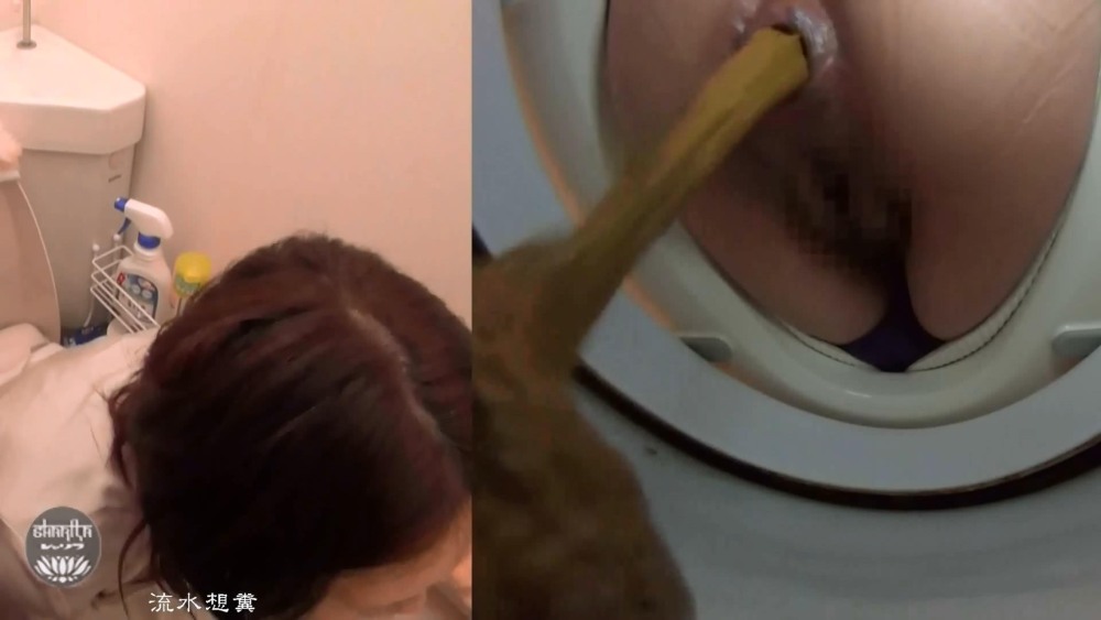 Женская туалетная камера копро