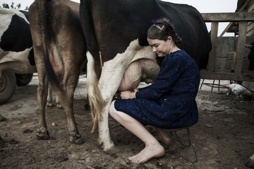 Дойная девушка