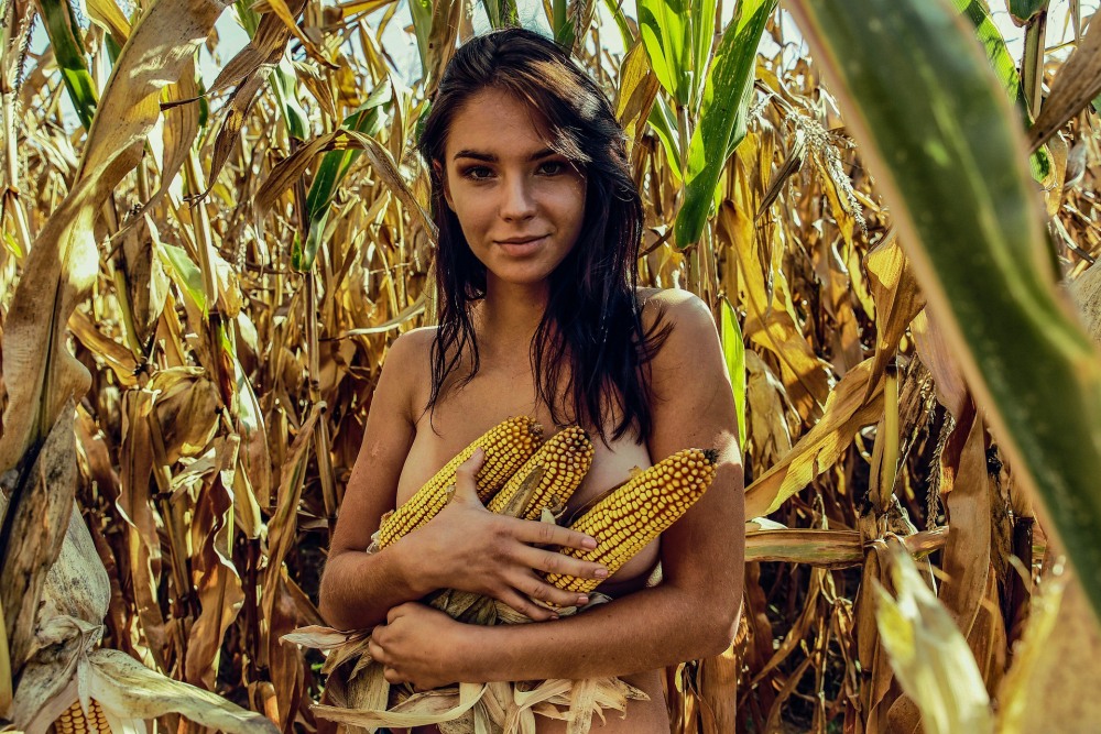 Девушка в кукурузе