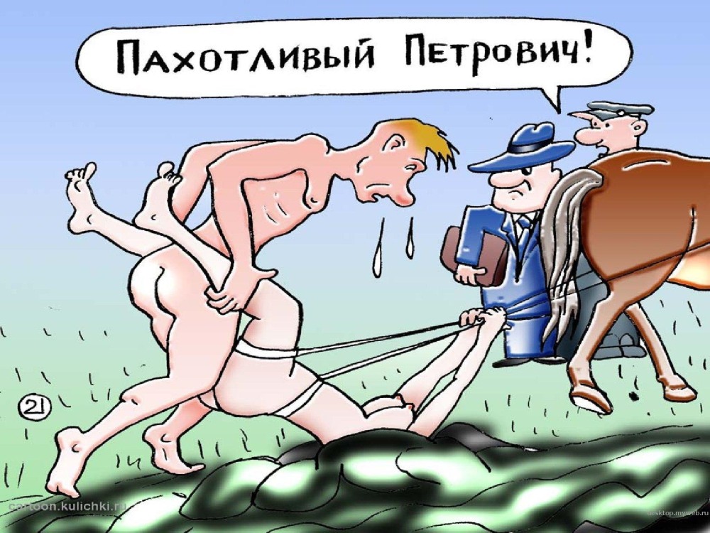 Приколы анекдоты эротические